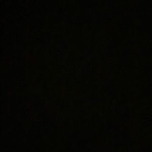 Meet your Posher, Rose